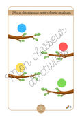 Les couleurs - Fiche 3 "Place les oiseaux selon leurs couleurs"