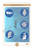 Les animaux - Fiche 4 "L'océan"
